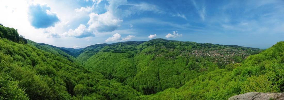 Eco Hotel Zdravetz Zar-Kalojan Eksteriør bilde